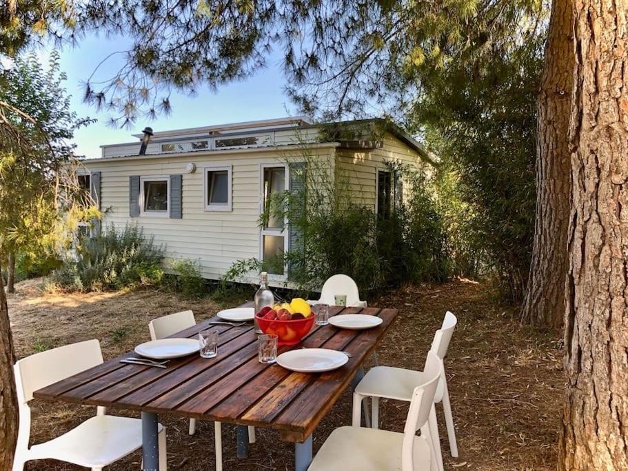Eco Tiny Home & Office For Digital Nomads Vallmoll Экстерьер фото